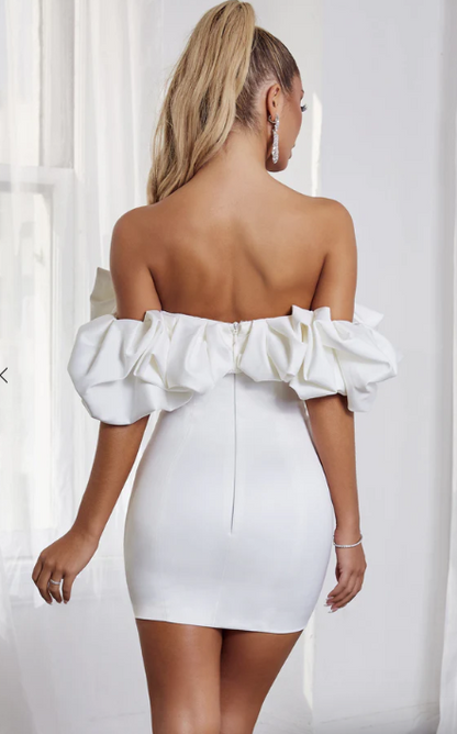 Evangeline Mini Dress